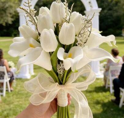 Beauty Flowers