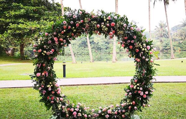 Beauty Flowers